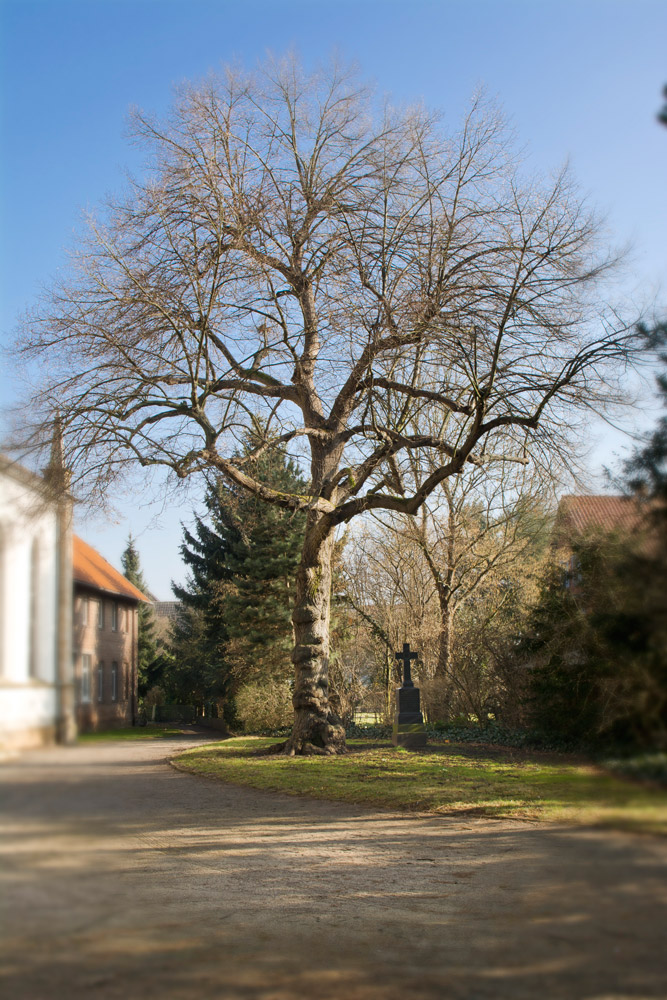 Kirchenumfeld 
